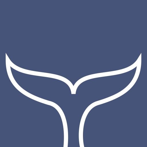 Los mejores yates en Punta Cana